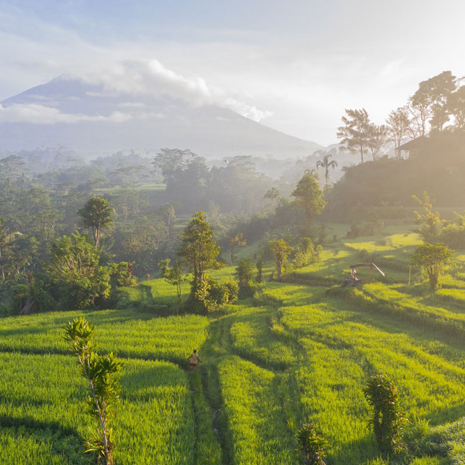 bali